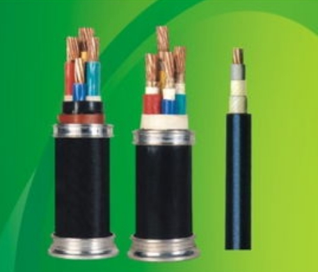 交聯(lián)聚乙烯絕緣聚氯乙烯護(hù)套電力電纜